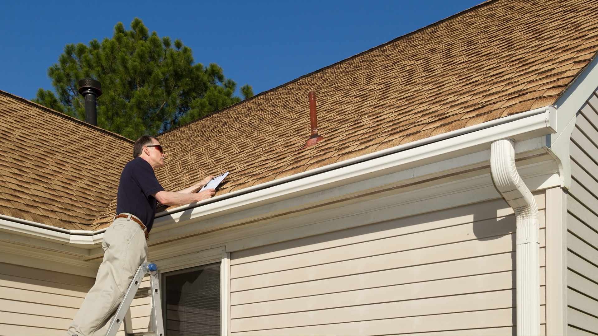 Home Inspector in Roof